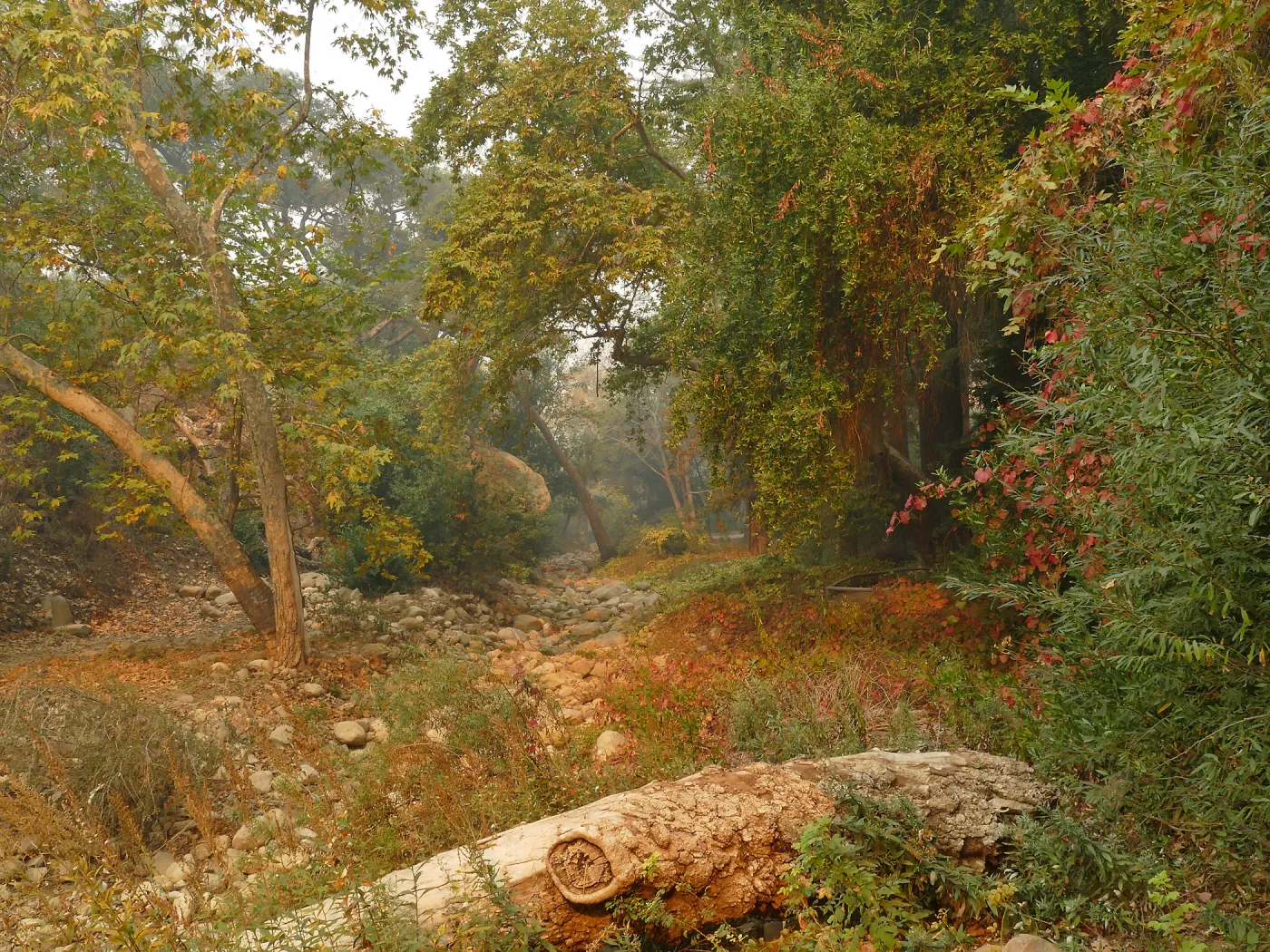 Mission Creek in smoke from Thomas Fire