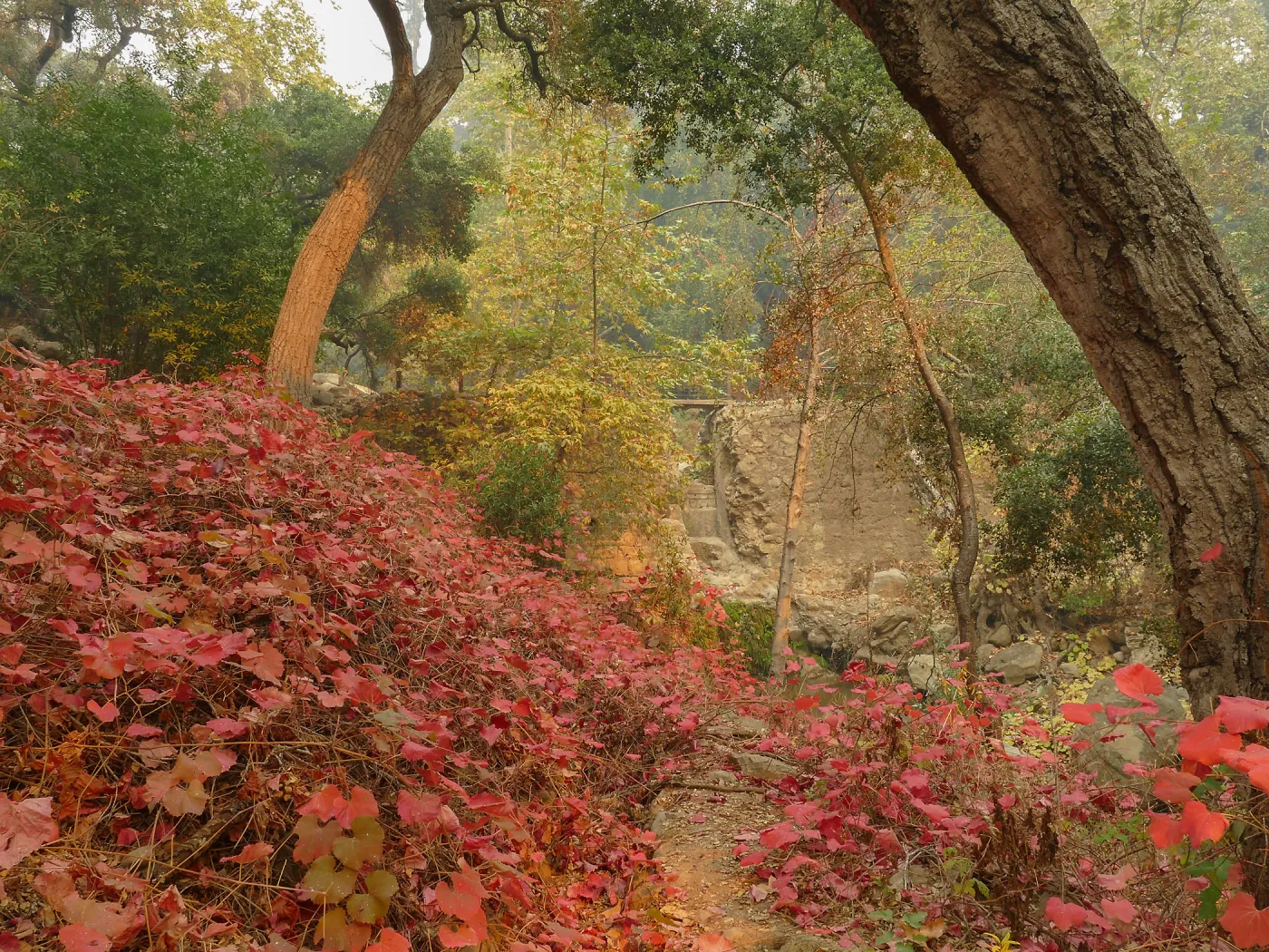 Mission Dam in smoke from Thomas Fire