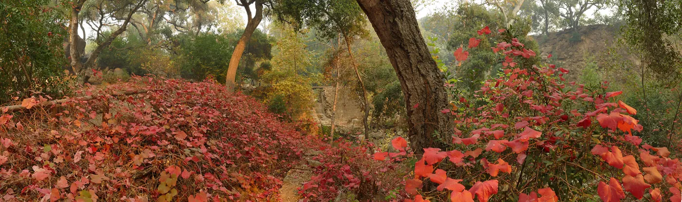 Mission Dam in smoke from Thomas Fire