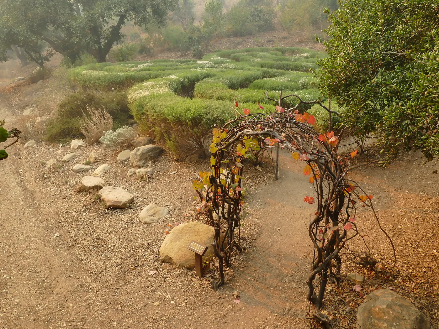 Centennial Maze in smoke from Thomas Fire
