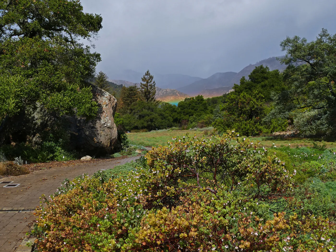 Low rainbow over the Meadow