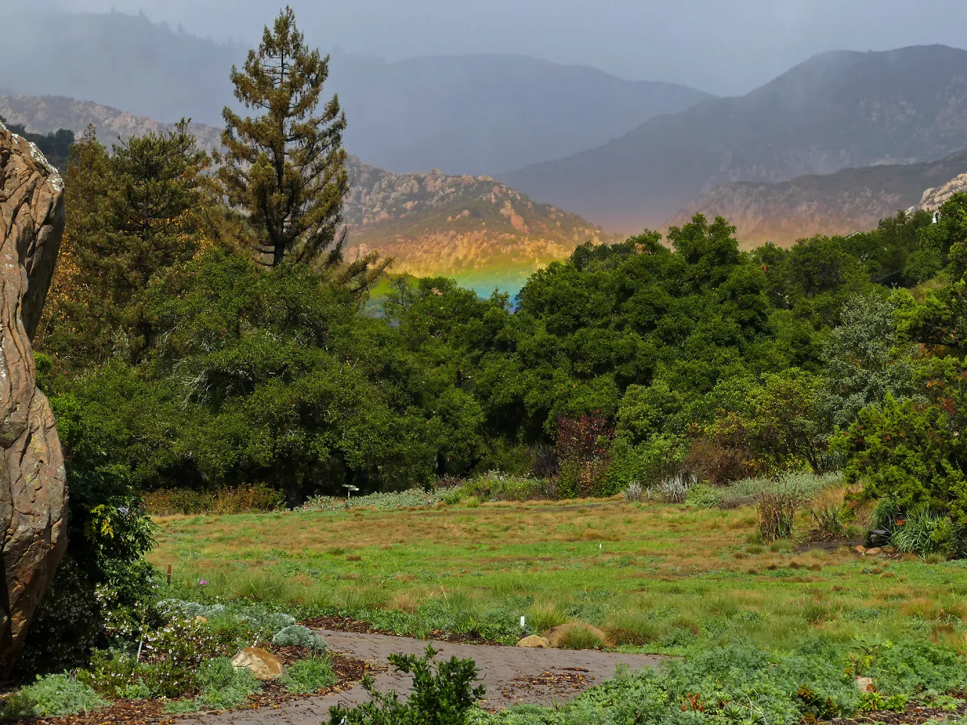 Low rainbow over the Meadow