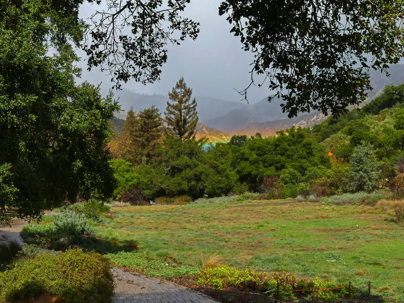 Low rainbow over the Meadow