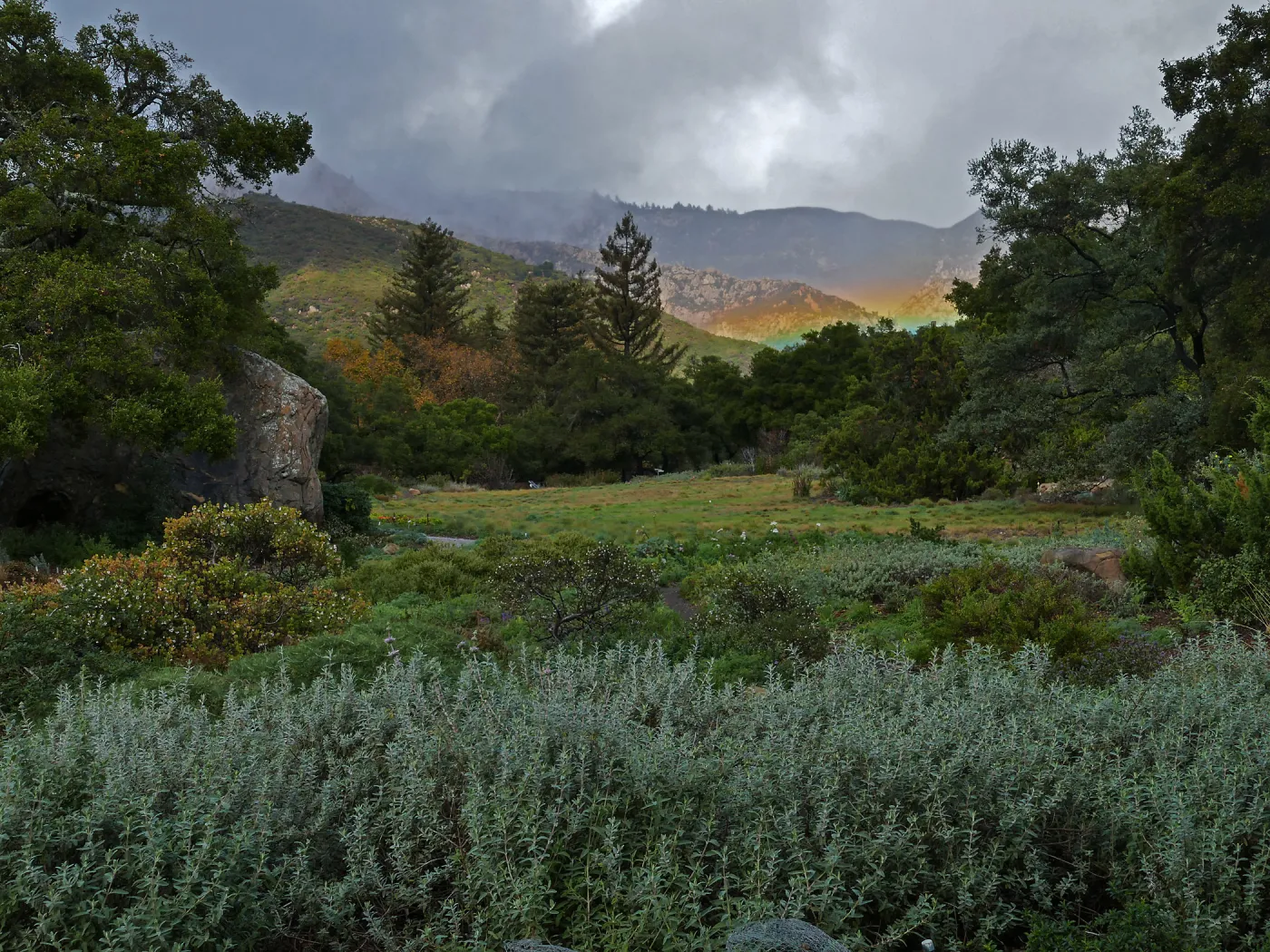 Low rainbow over the Meadow