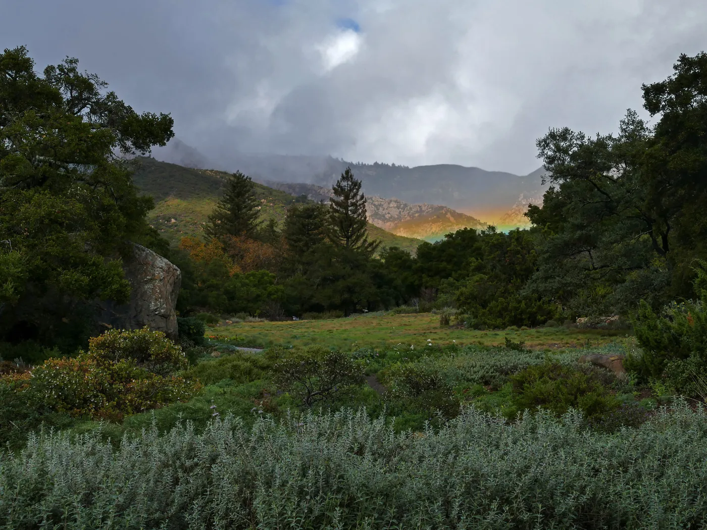 Low rainbow over the Meadow