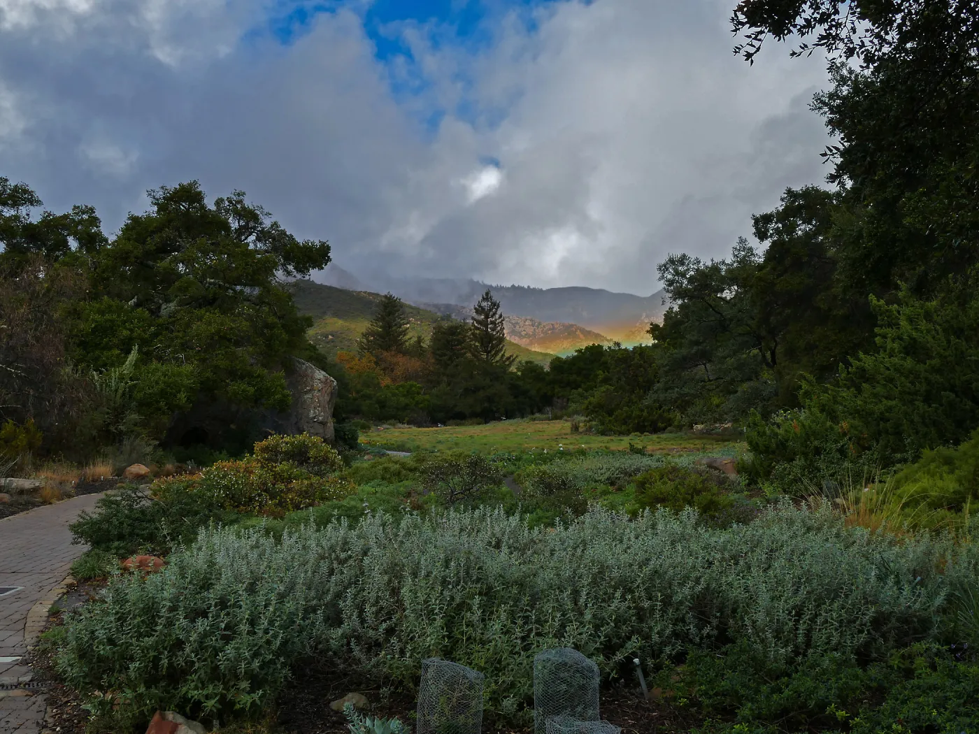 Low rainbow over the Meadow