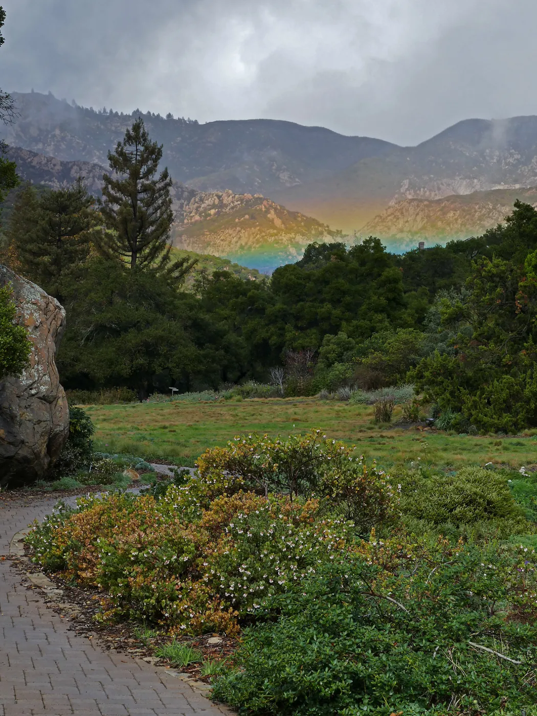 Low rainbow over the Meadow