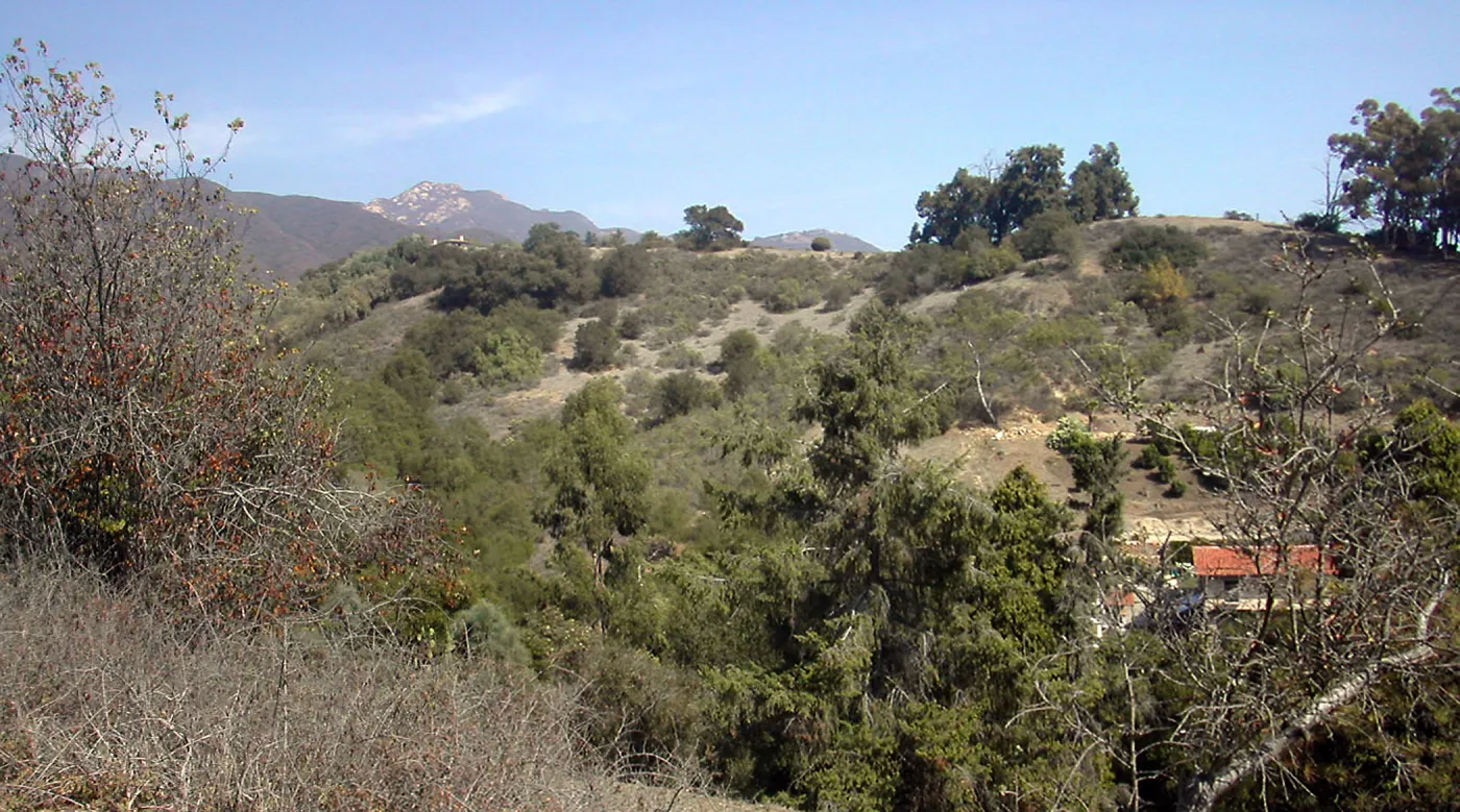 Cavalli Ridge