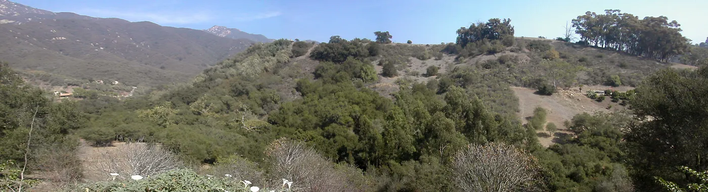 Cavalli Ridge