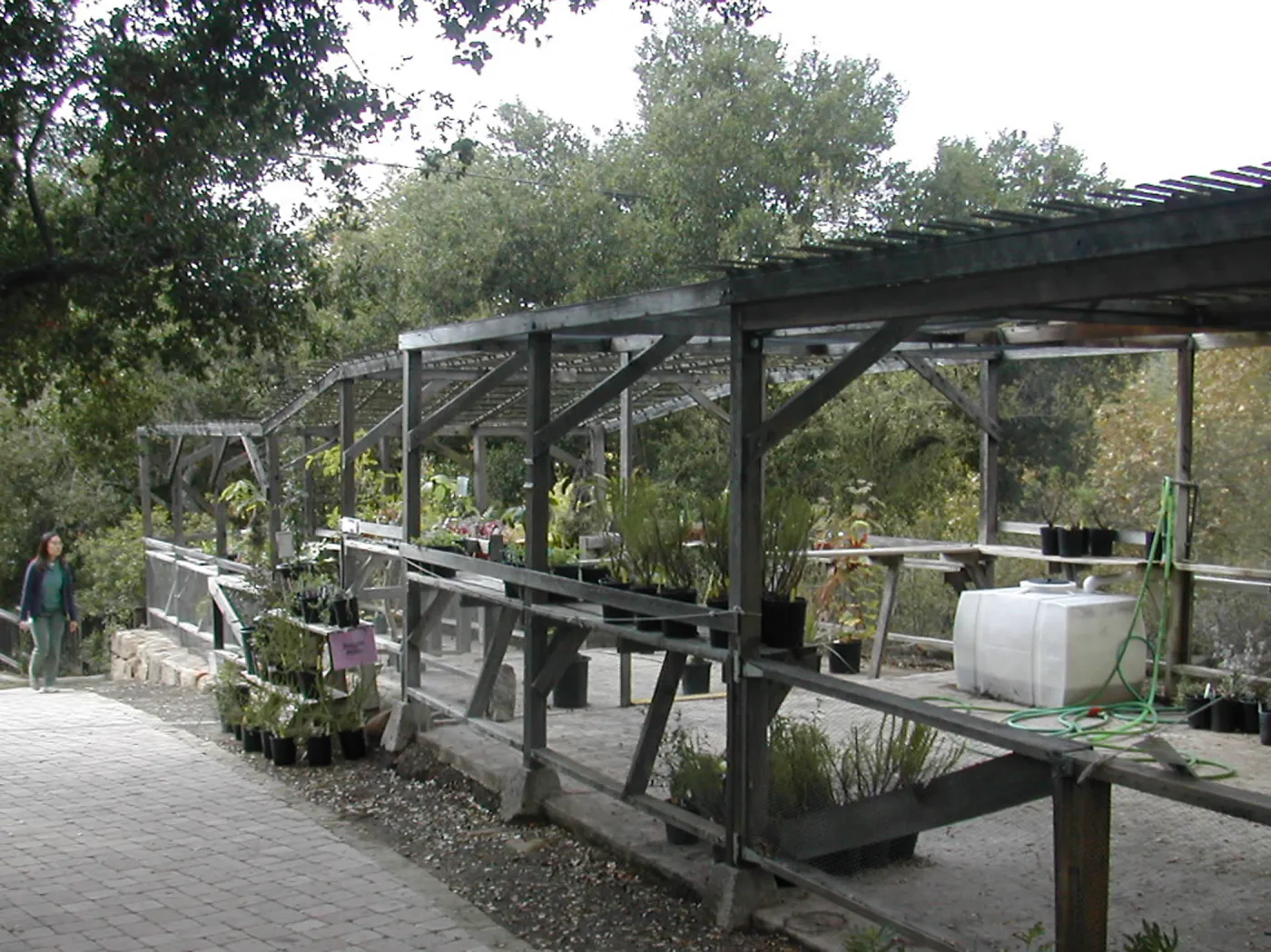 Arbor Terrace