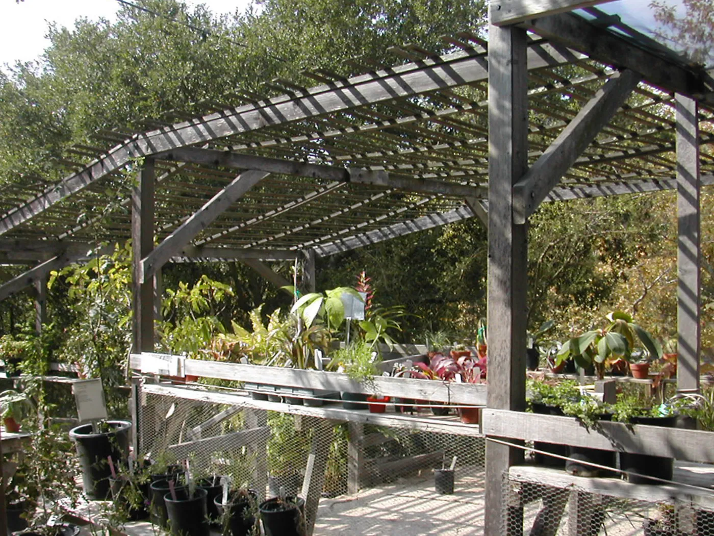 Arbor Terrace