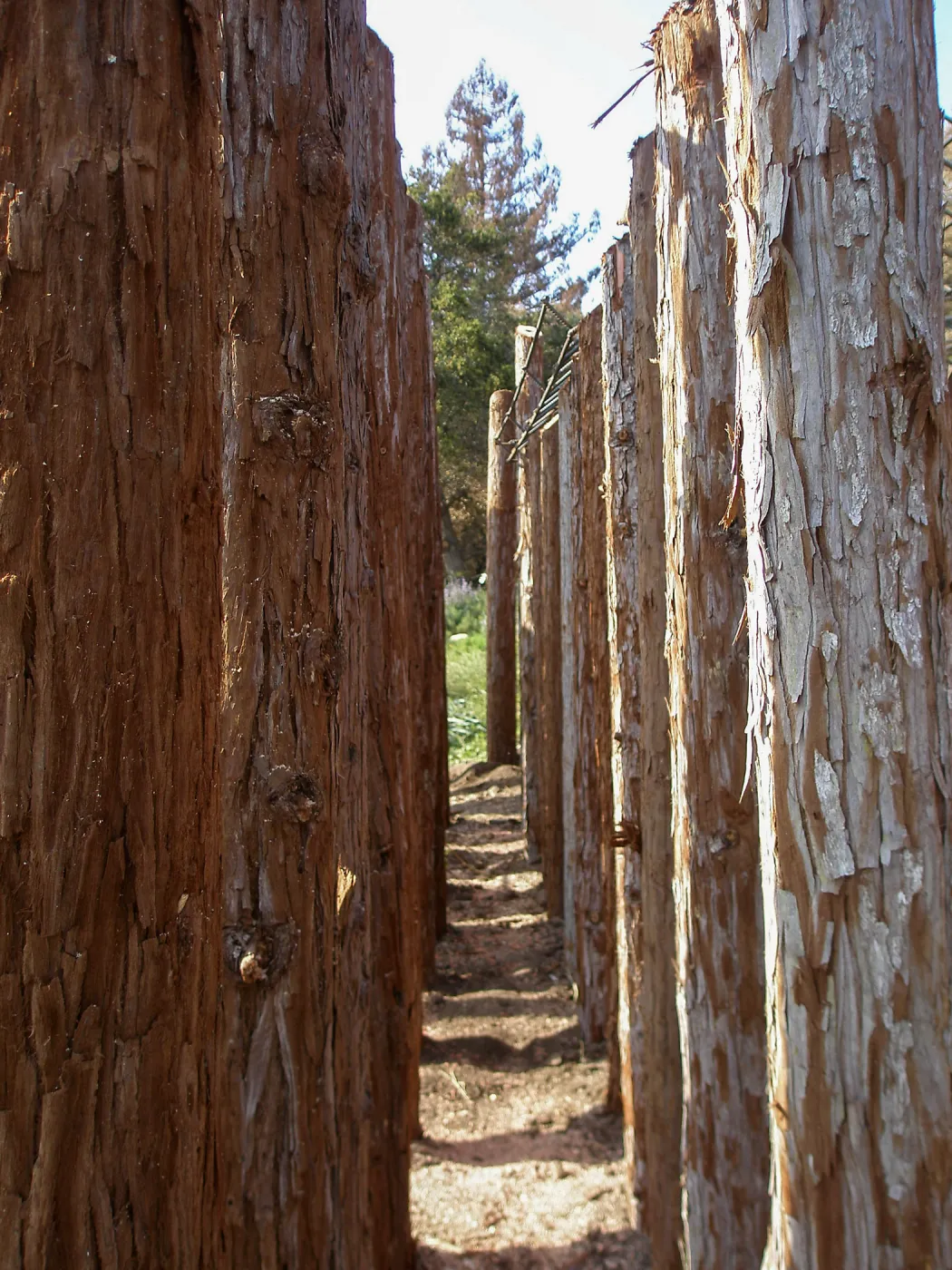 Herb Parker's â€˜Haven' labyrinth installation
