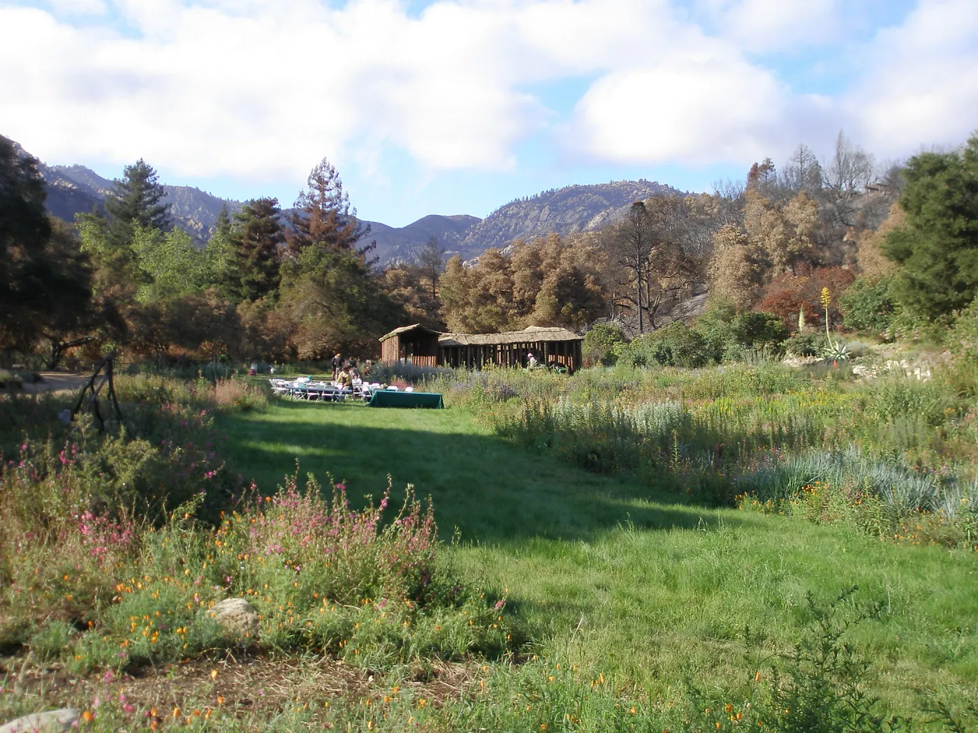 Herb Parker's â€˜Haven' labyrinth installation