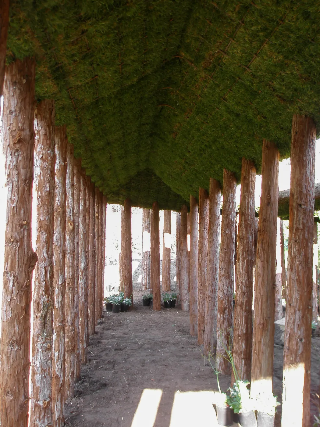 Herb Parker's â€˜Haven' labyrinth installation