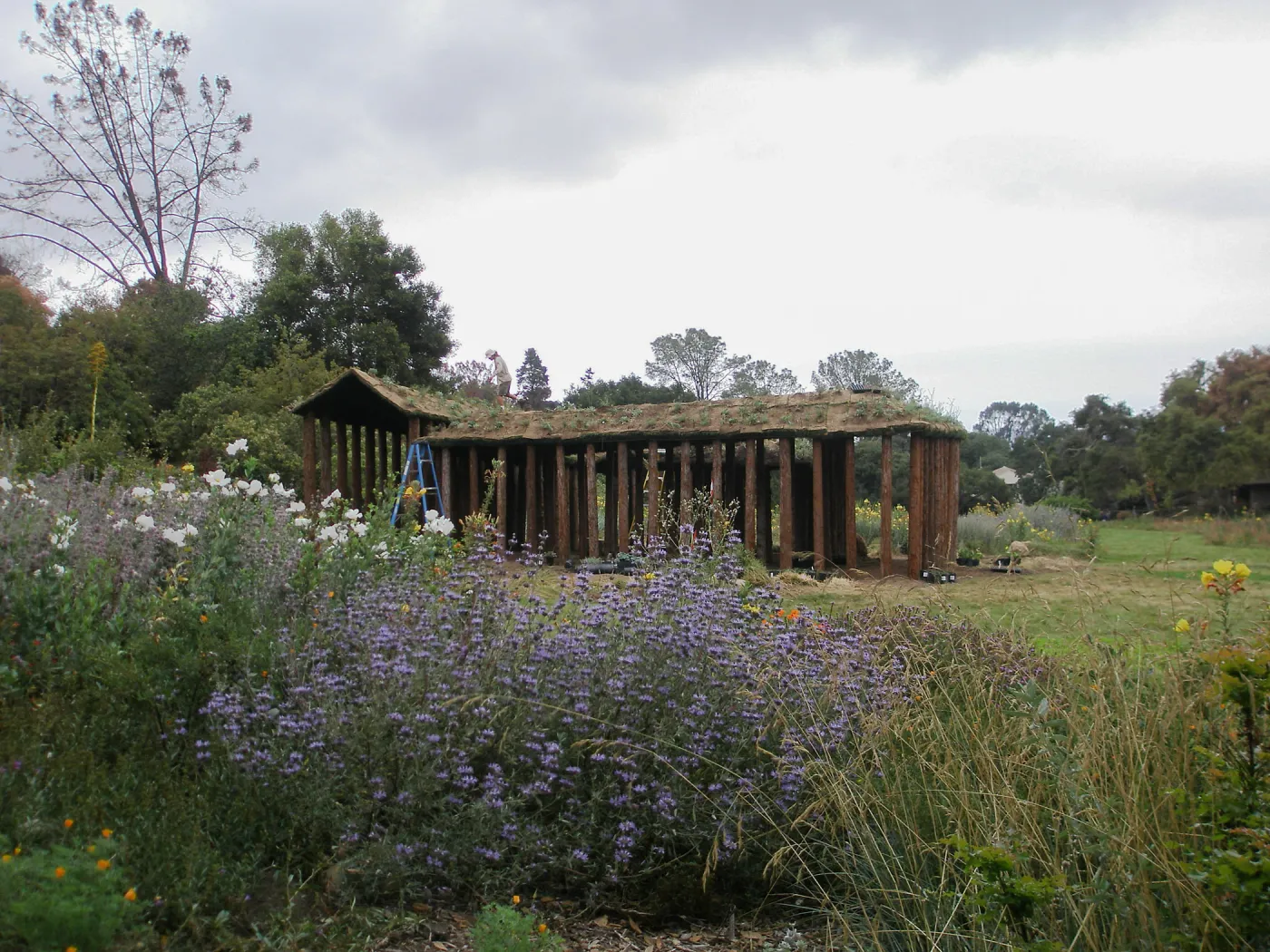 Herb Parker's â€˜Haven' labyrinth installation