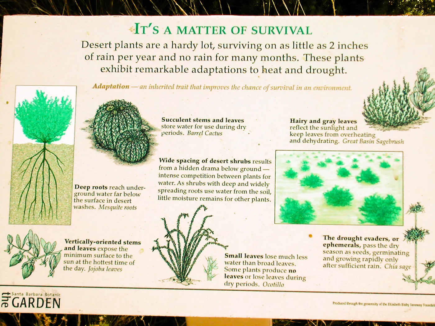 â€œIt's a Matter of Survivalâ€ interpretive sign