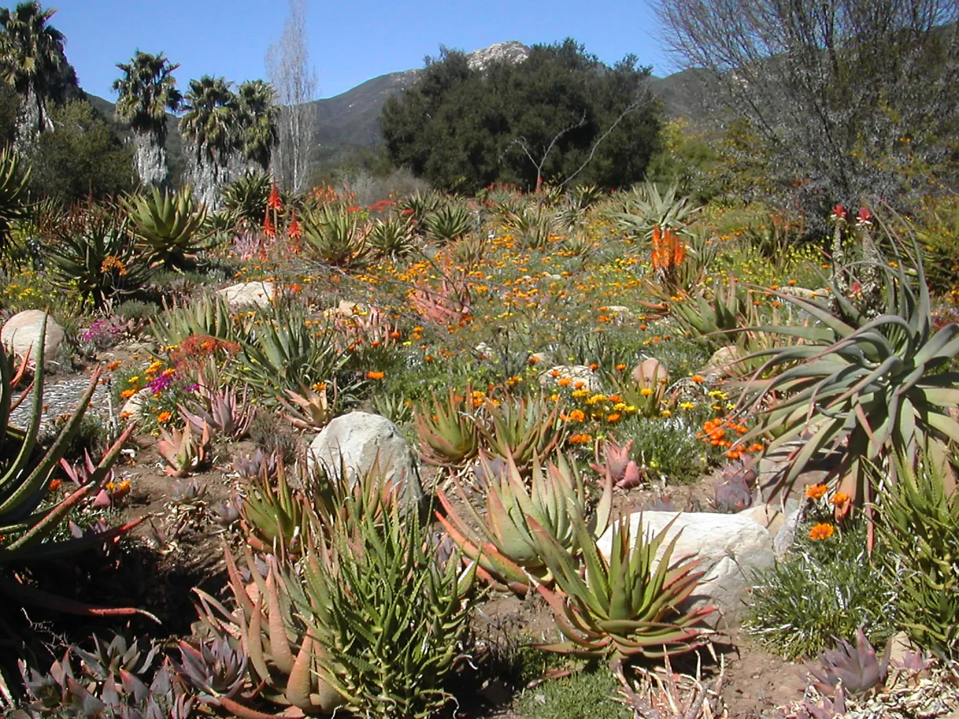 Taft Gardens
