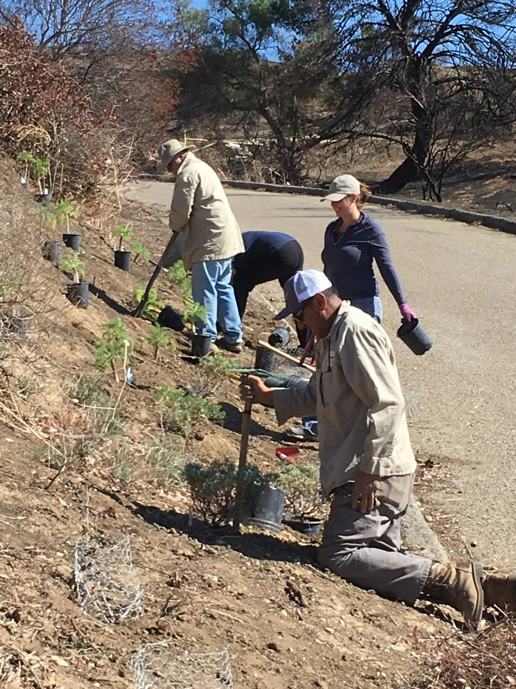 Martin Luther King Day of Service at the Ventura Botanical Garden