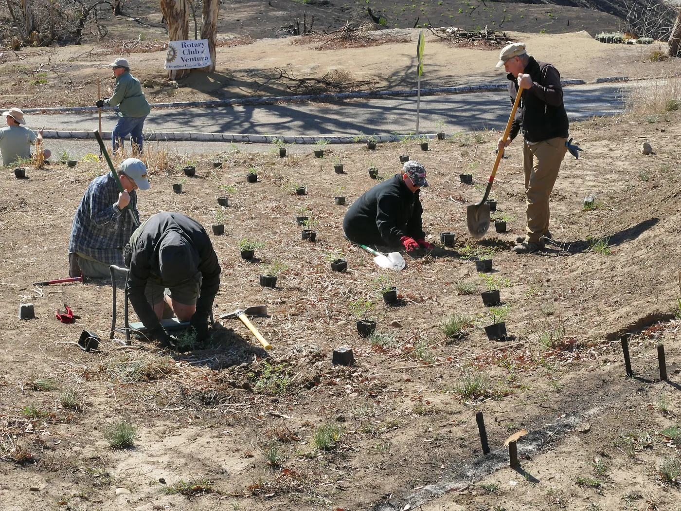 Martin Luther King Day of Service at the Ventura Botanical Garden