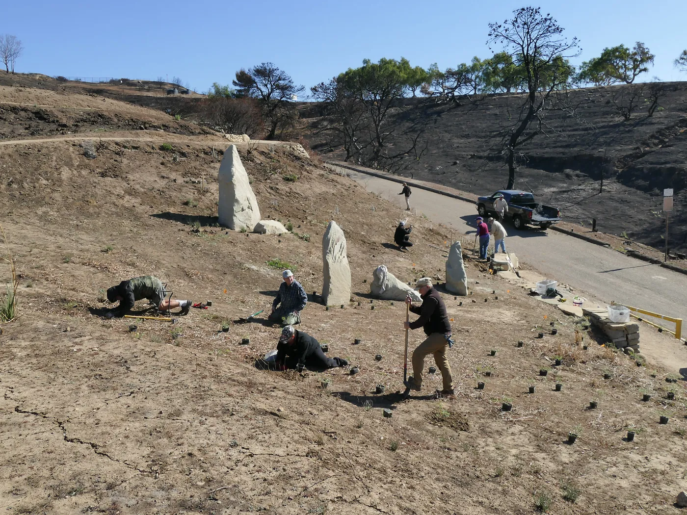 Martin Luther King Day of Service at the Ventura Botanical Garden