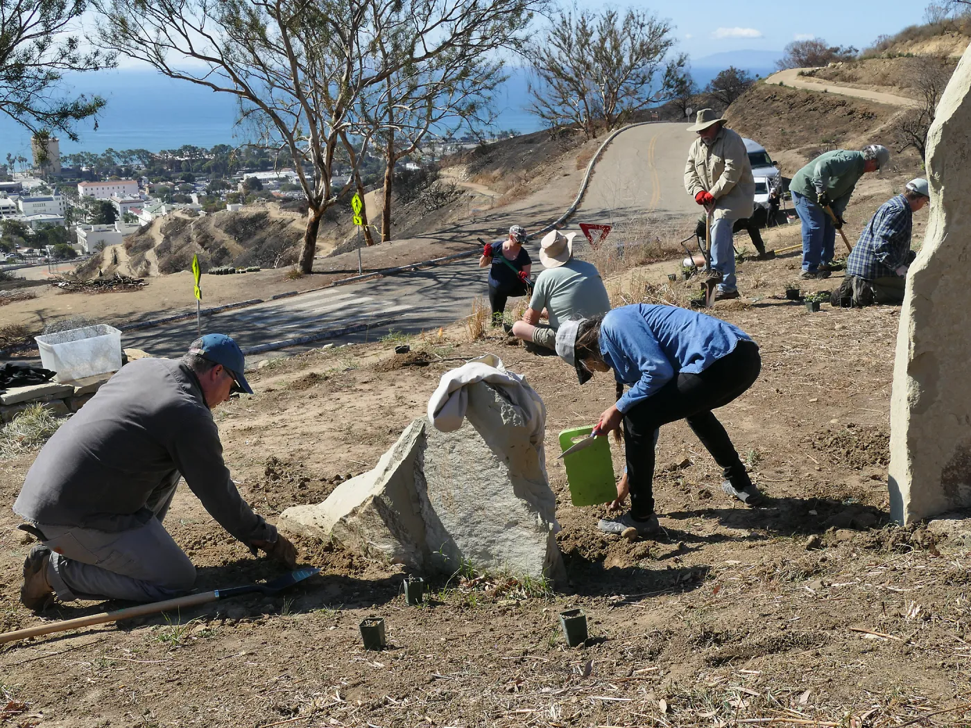 Martin Luther King Day of Service at the Ventura Botanical Garden