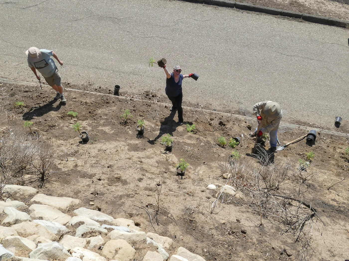 Martin Luther King Day of Service at the Ventura Botanical Garden