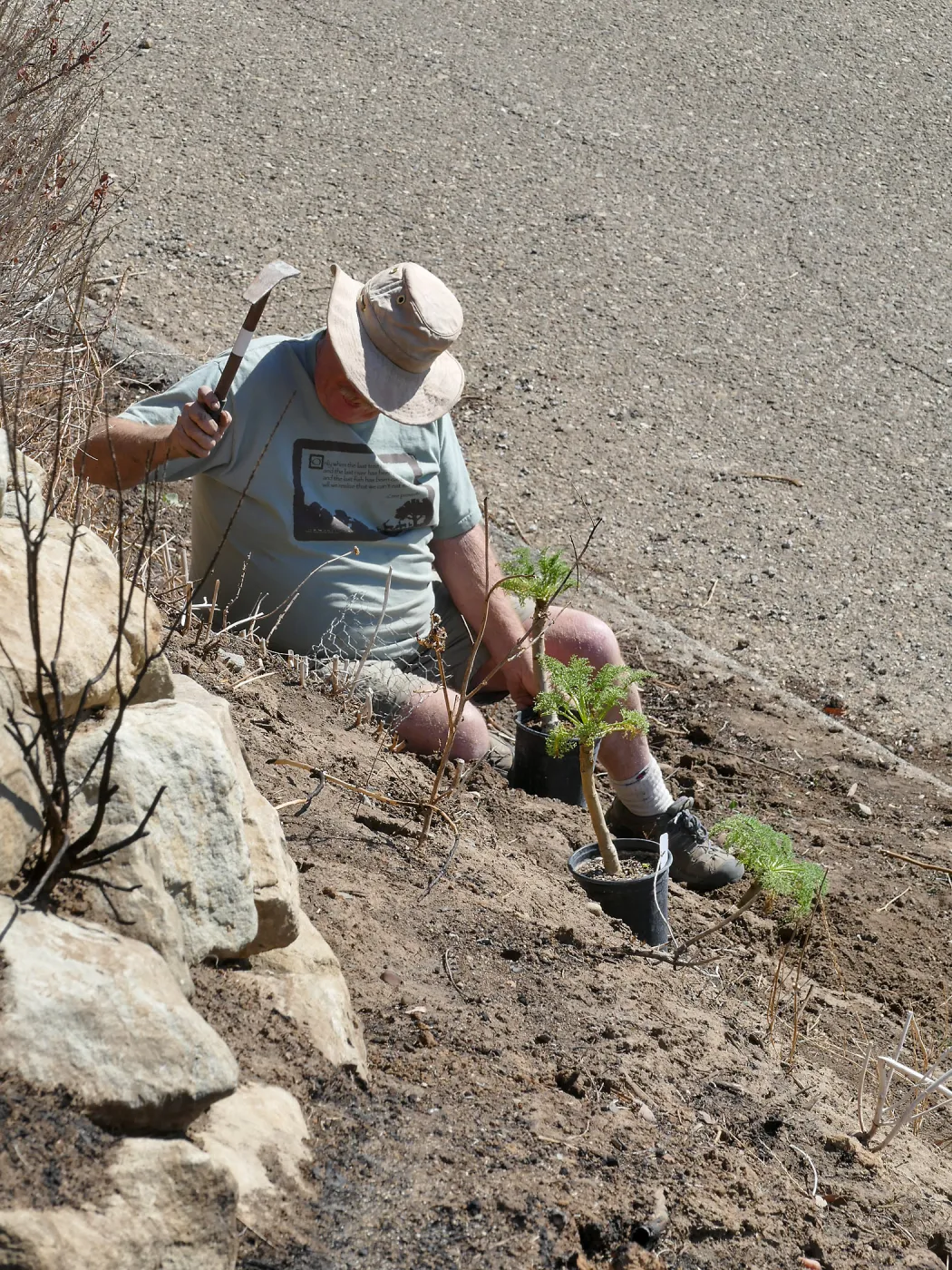 Martin Luther King Day of Service at the Ventura Botanical Garden