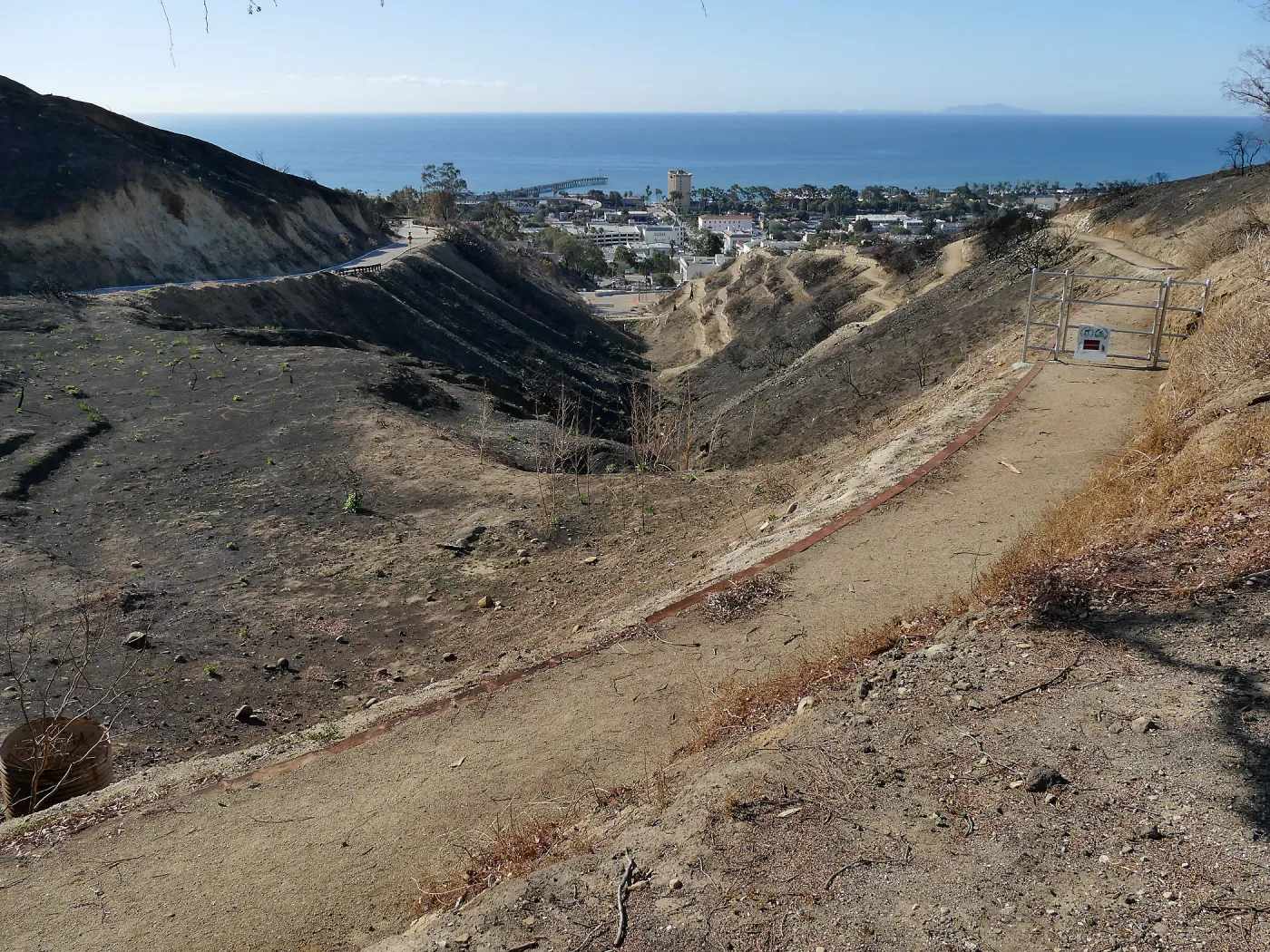 Looking south from Brakey Drive across the Ventura Botanical Garden after the Thomas Fire