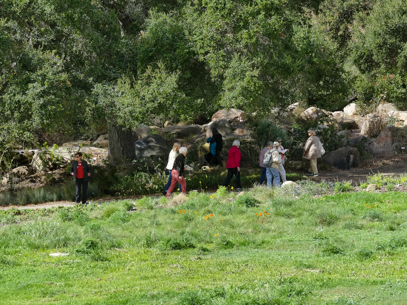 Docents walking along Meadow