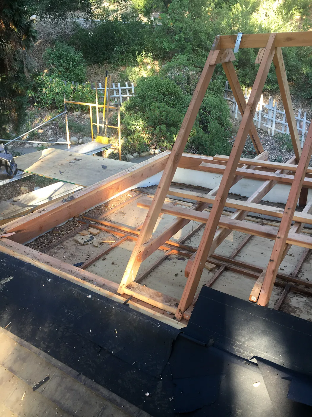 Teahouse & Garden Improvements 2018