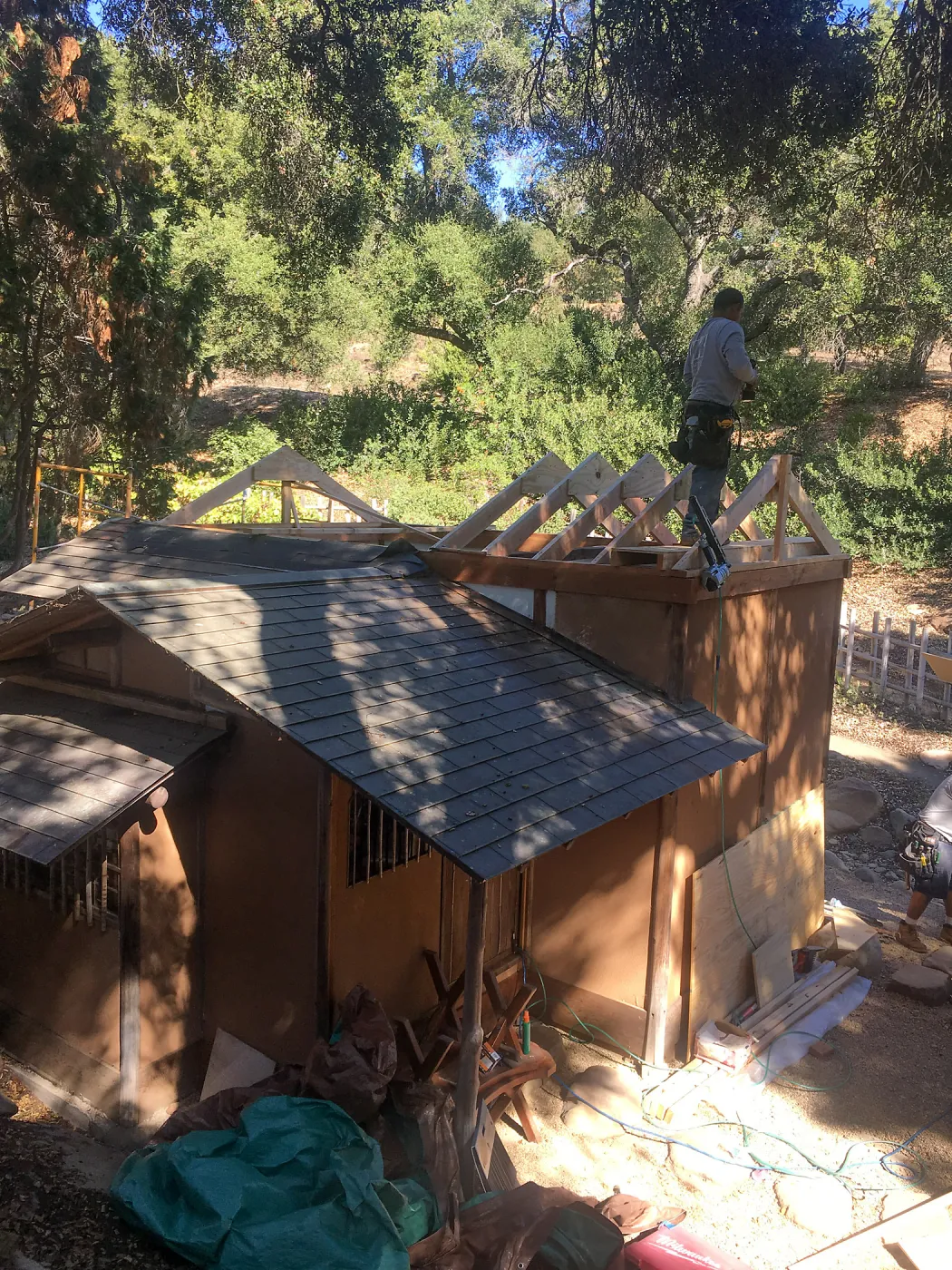 Teahouse & Garden Improvements 2018