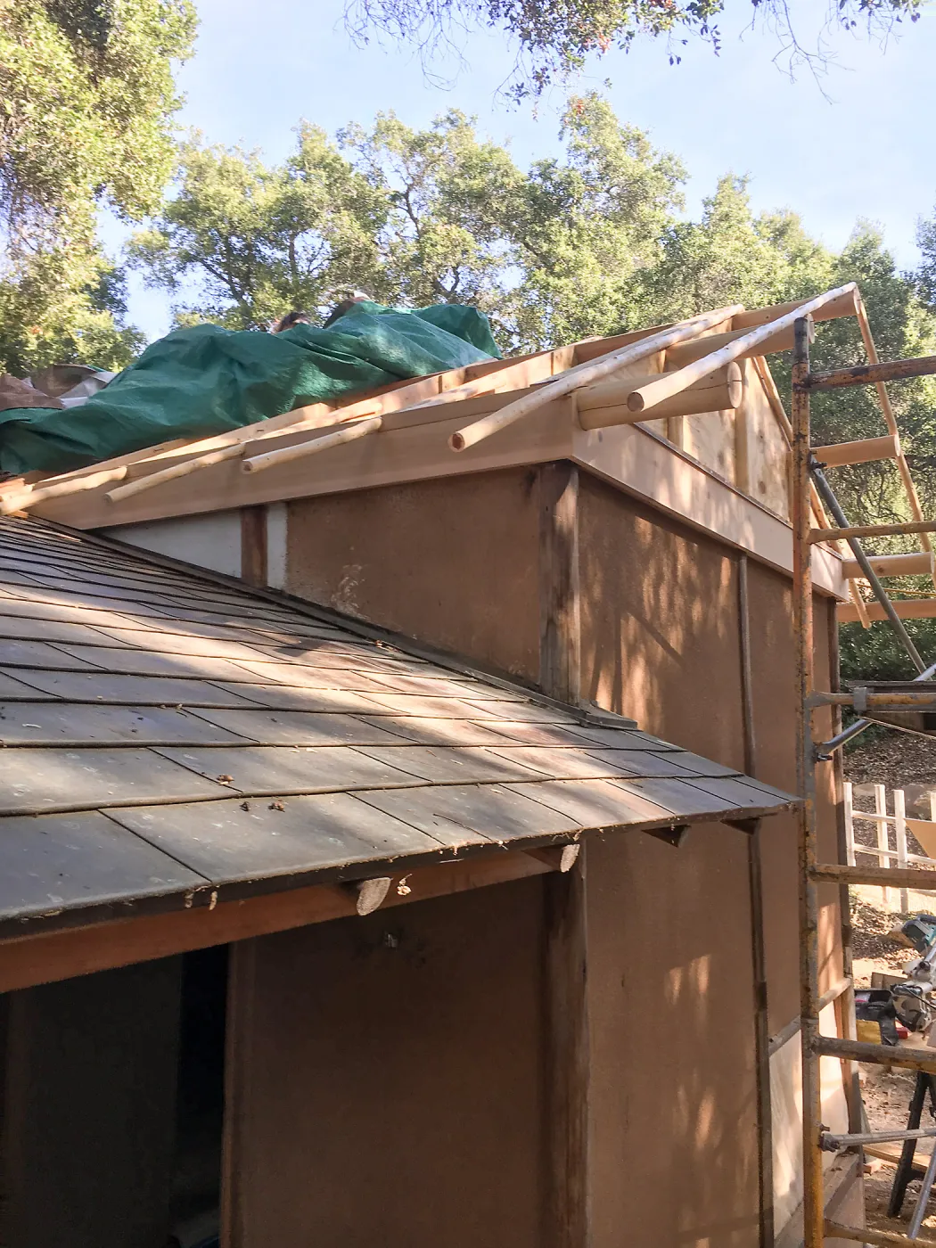 Teahouse & Garden Improvements 2018