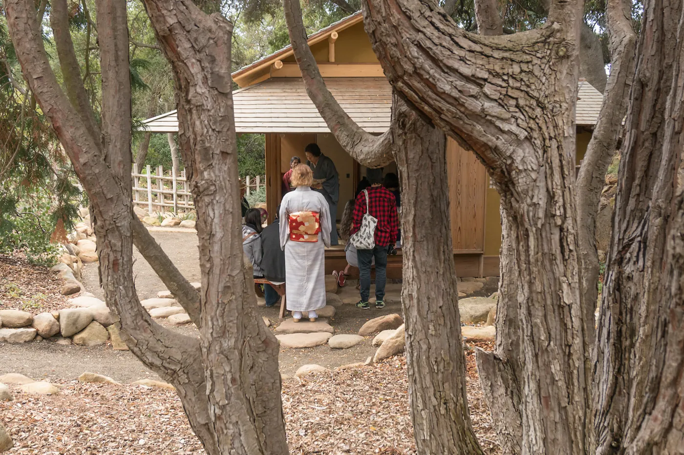 Tea Ceremony at ShinKanAn Teahouse