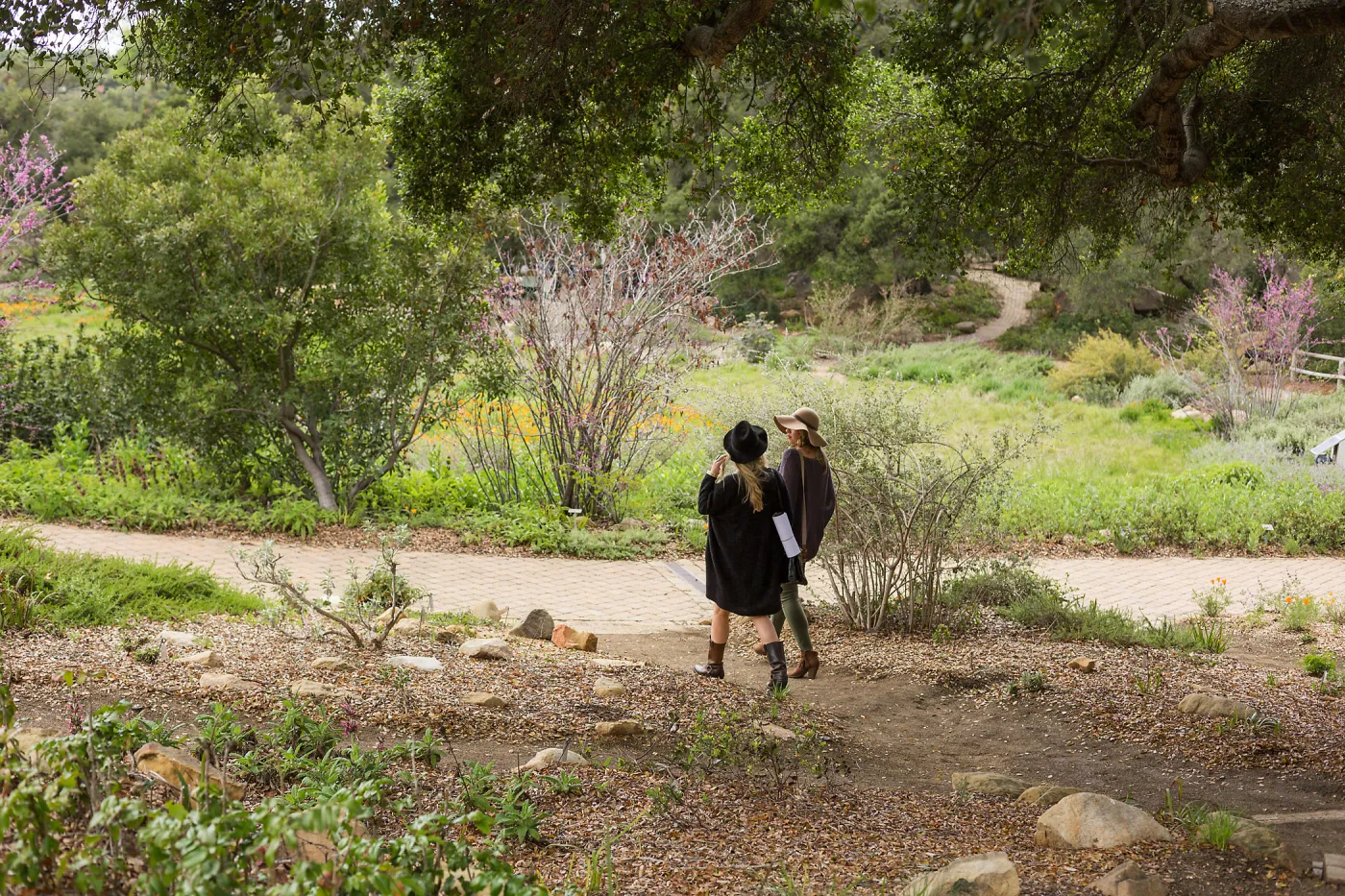 2018 Santa Barbara Beer Garden Event, Meadow View