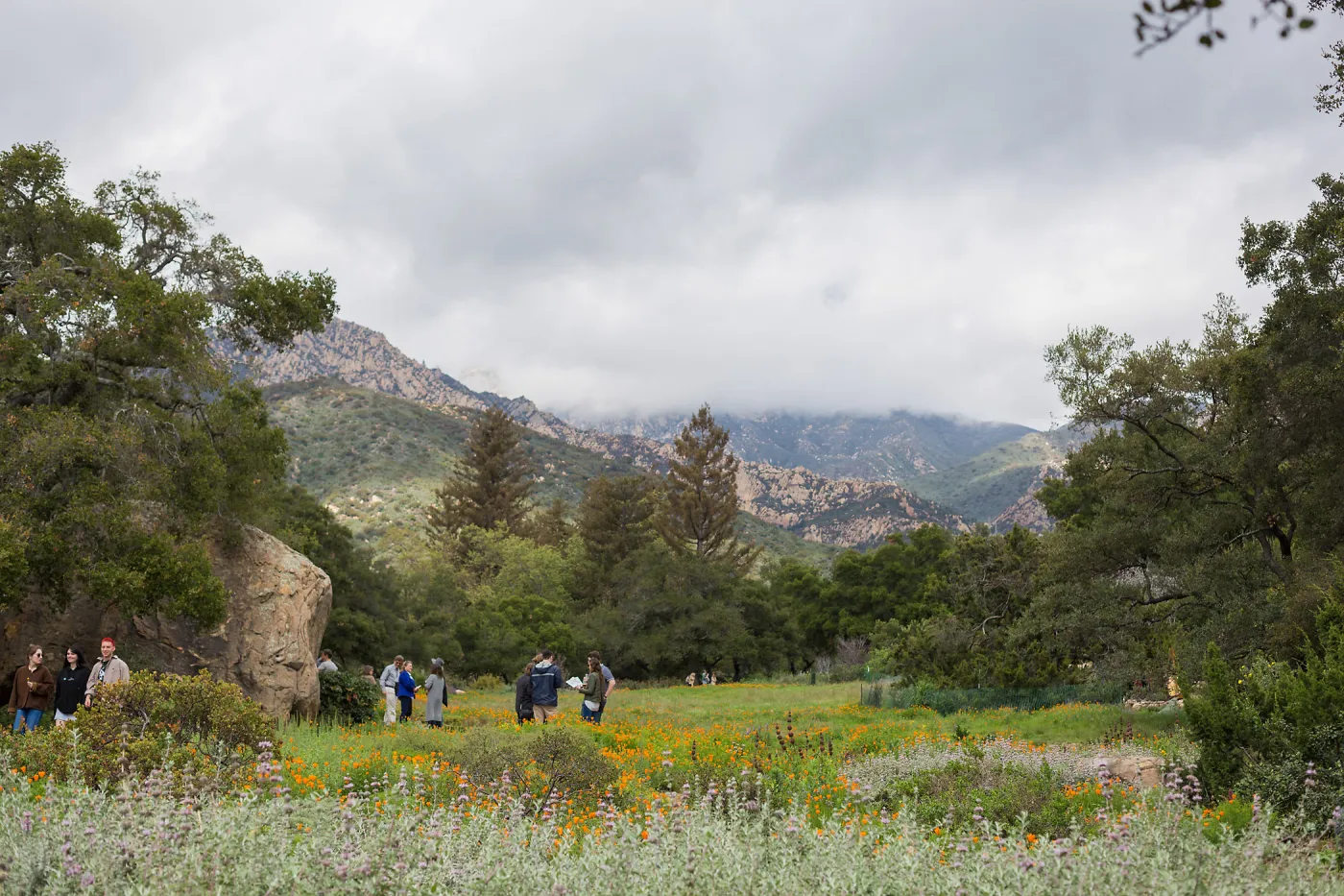 2018 Santa Barbara Beer Garden Event, Meadow