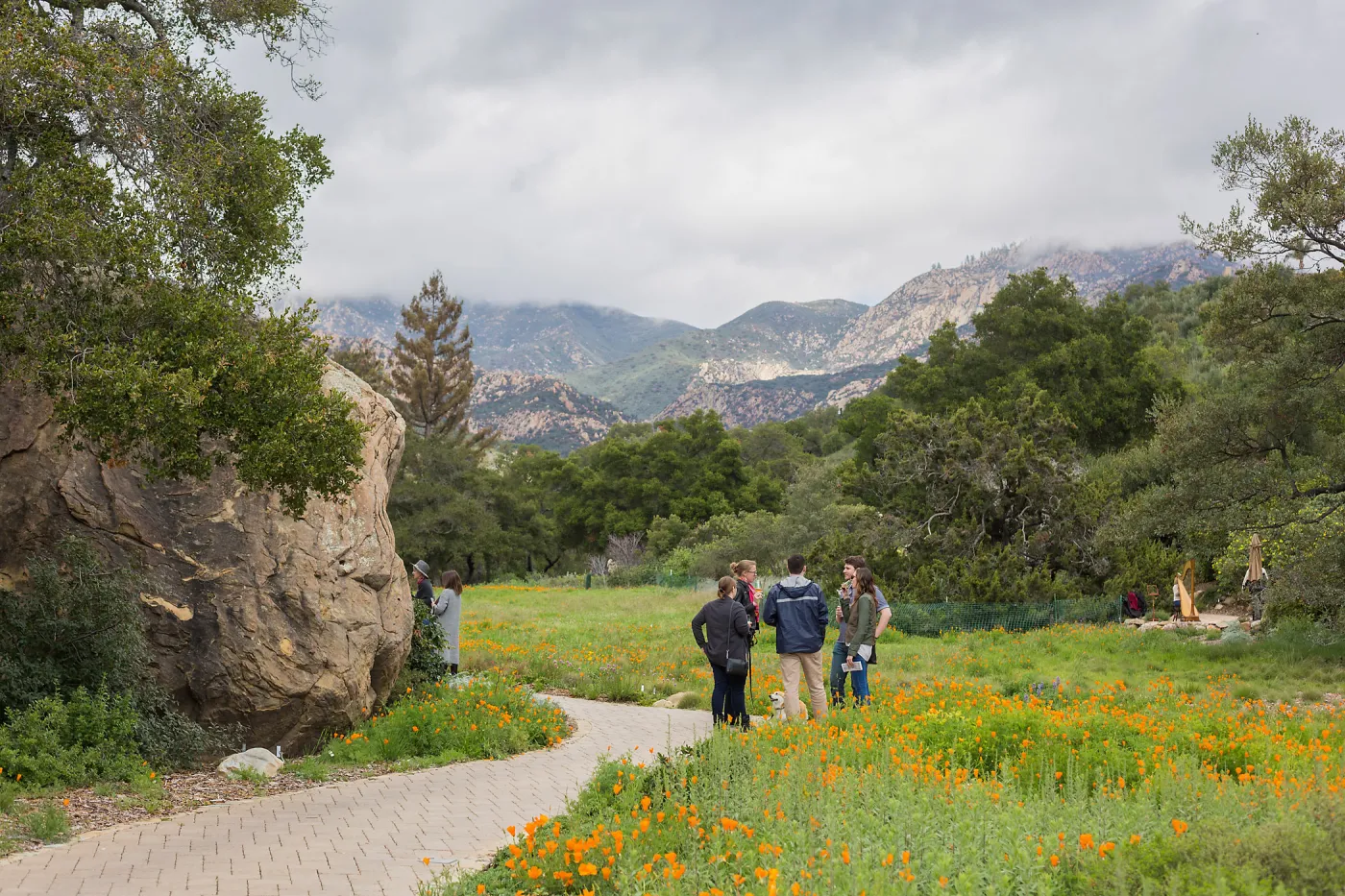 2018 Santa Barbara Beer Garden Event, Meadow