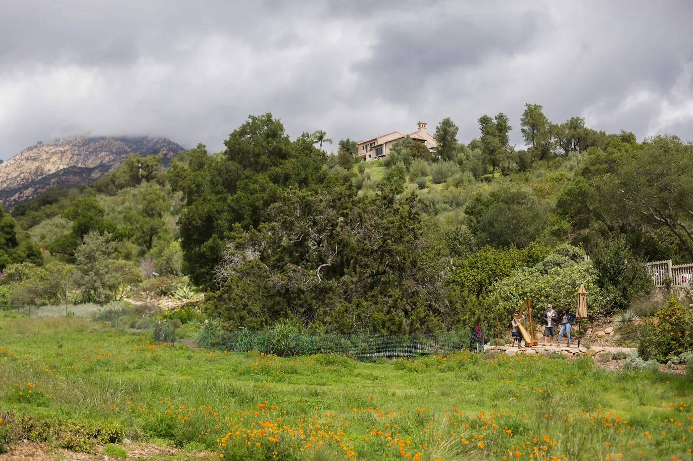 2018 Santa Barbara Beer Garden Event, Meadow