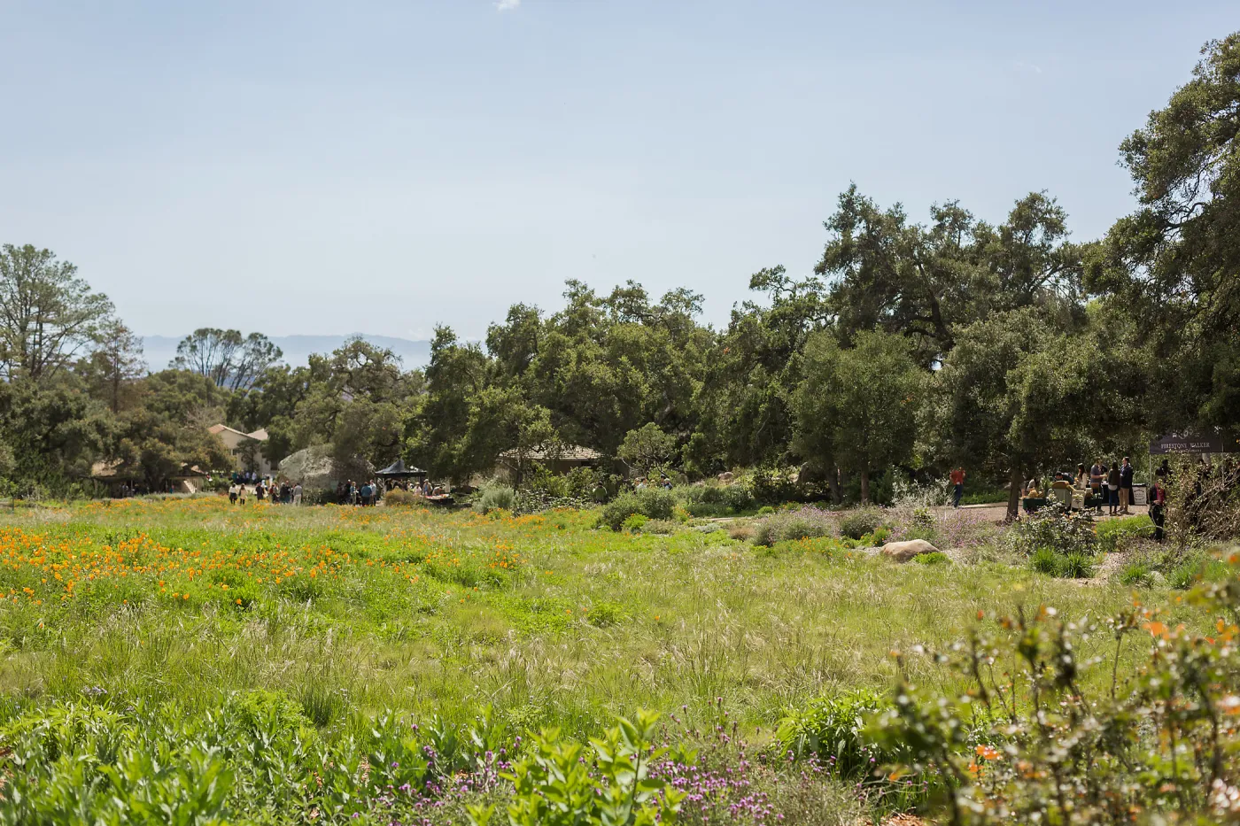 2018 Santa Barbara Beer Garden Event, Meadow