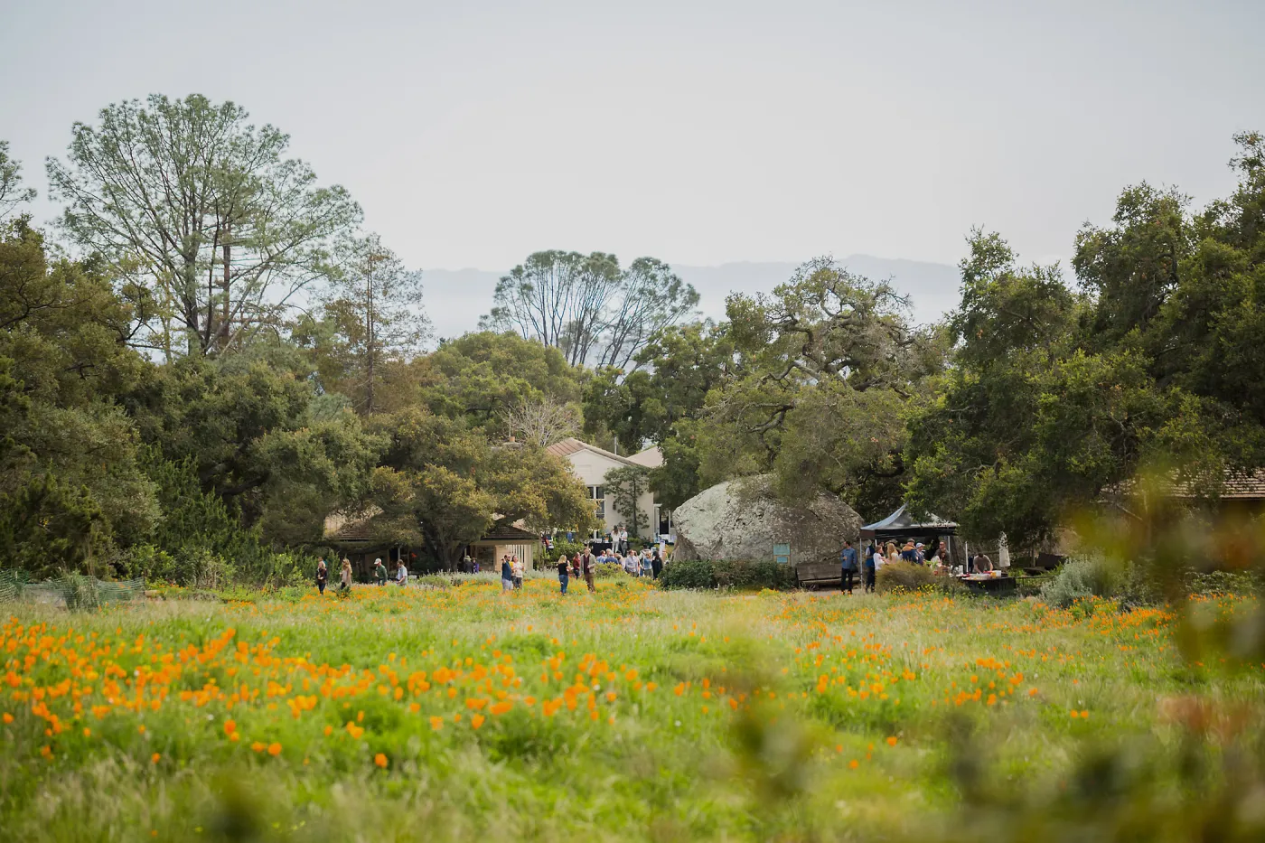 2018 Santa Barbara Beer Garden Event, Meadow