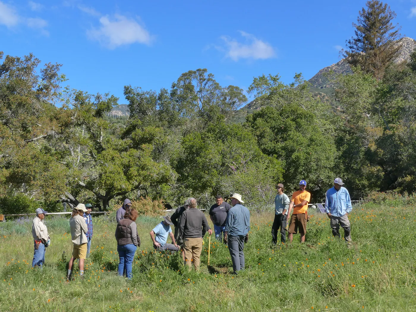 Horticulture staff meeting in the Meadow