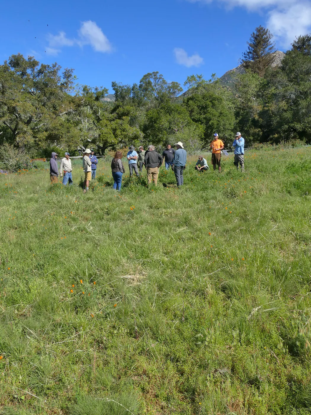 Horticulture staff meeting in the Meadow