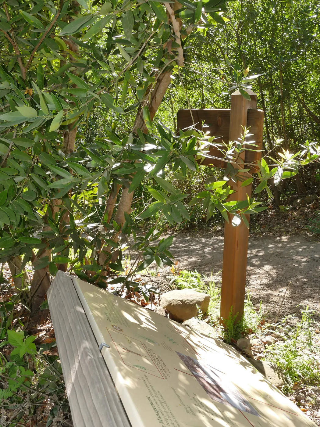Wayfinding sign 9ca