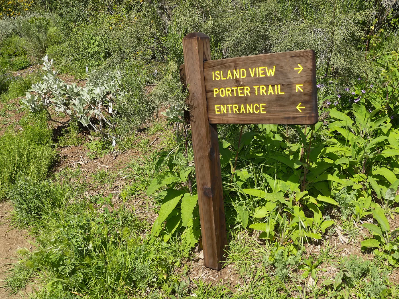 Wayfinding sign 25cb