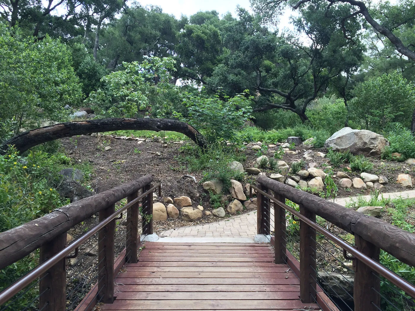 Campbell Bridge