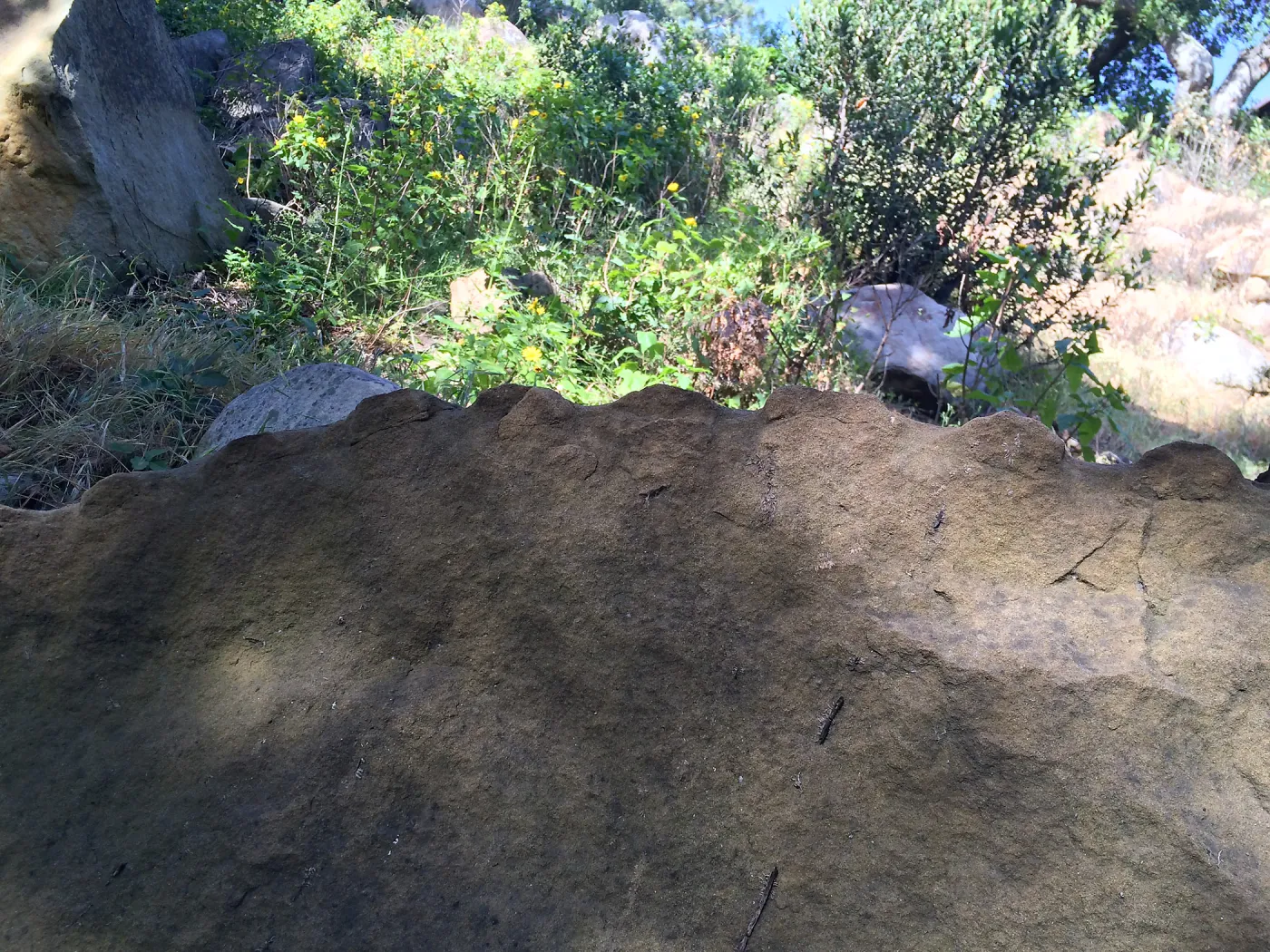 Historic rock drilling in Canyon