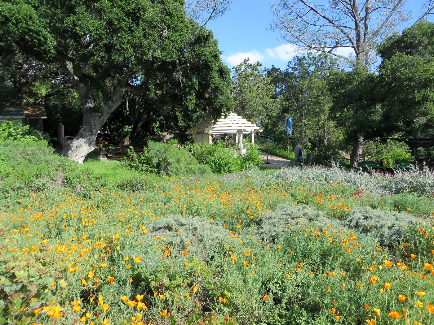 Groundcover display, entrance kiosk in background