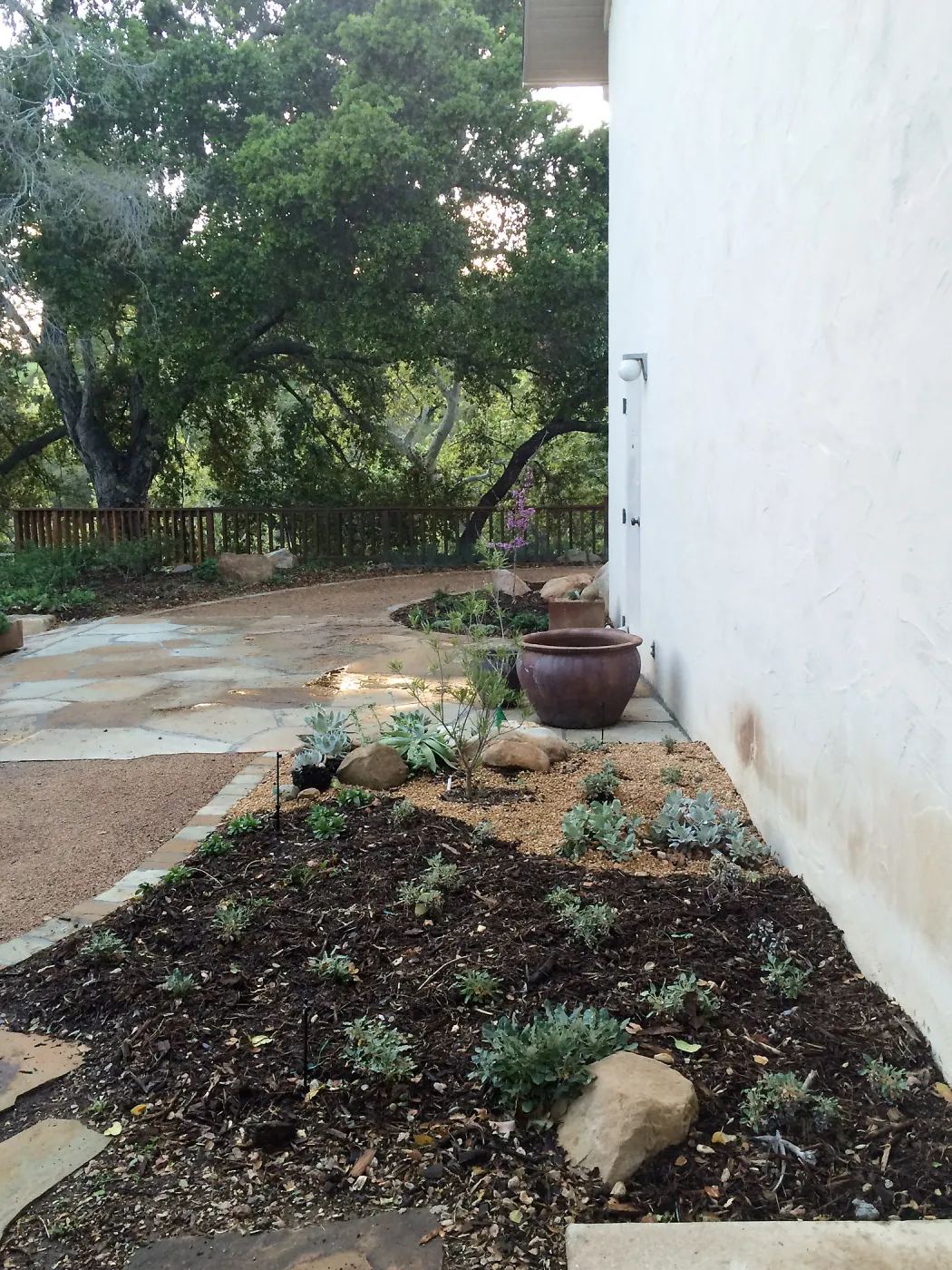Water Wise Home Garden shortly after planting