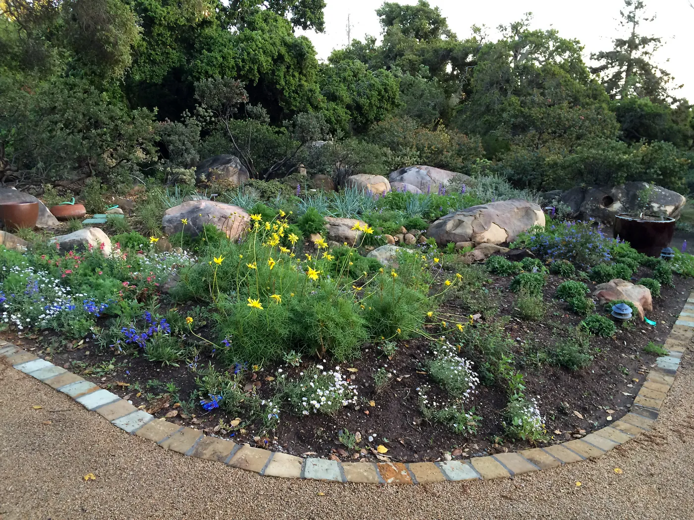 Water Wise Home Garden shortly after planting