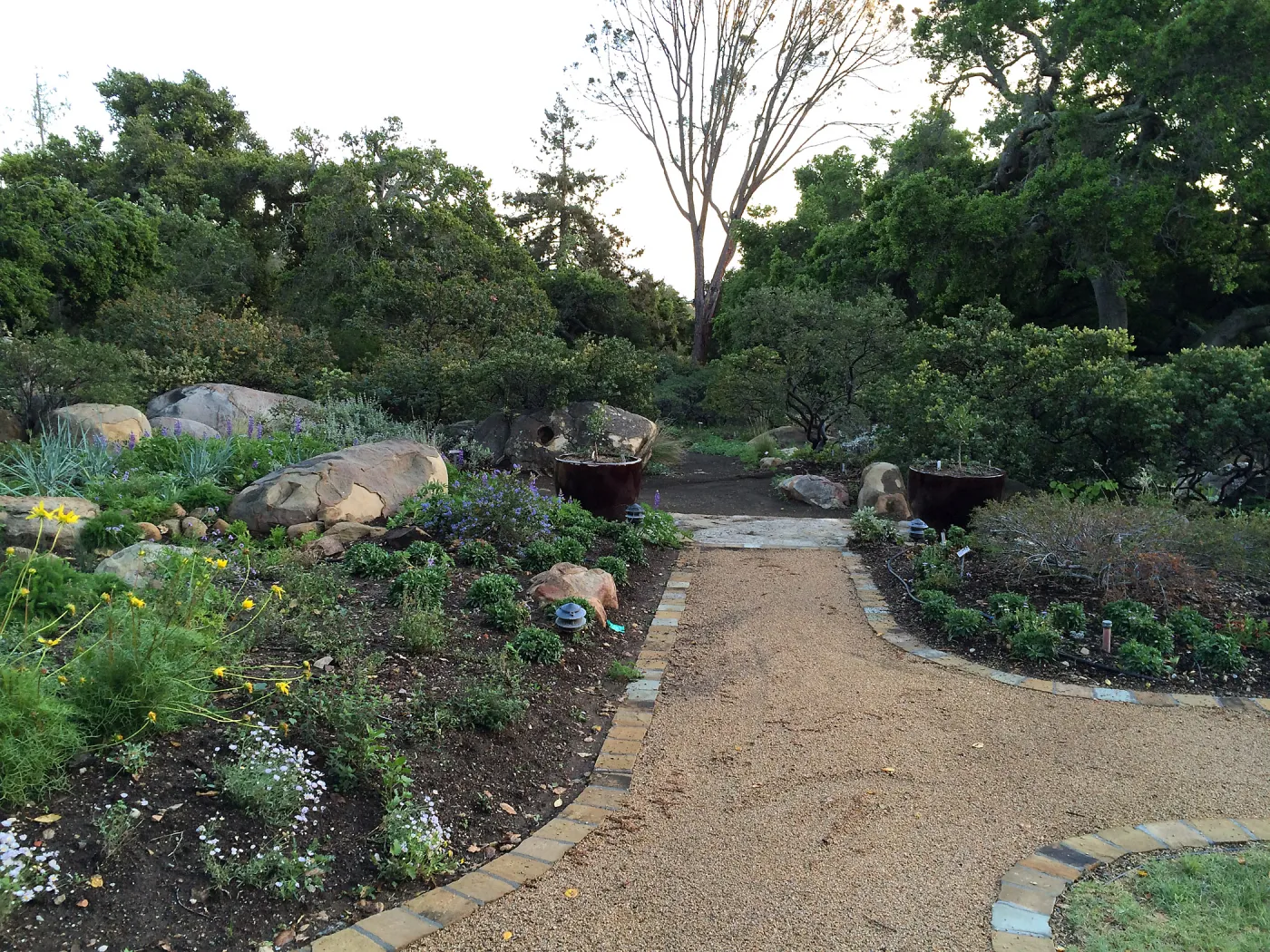 Water Wise Home Garden shortly after planting