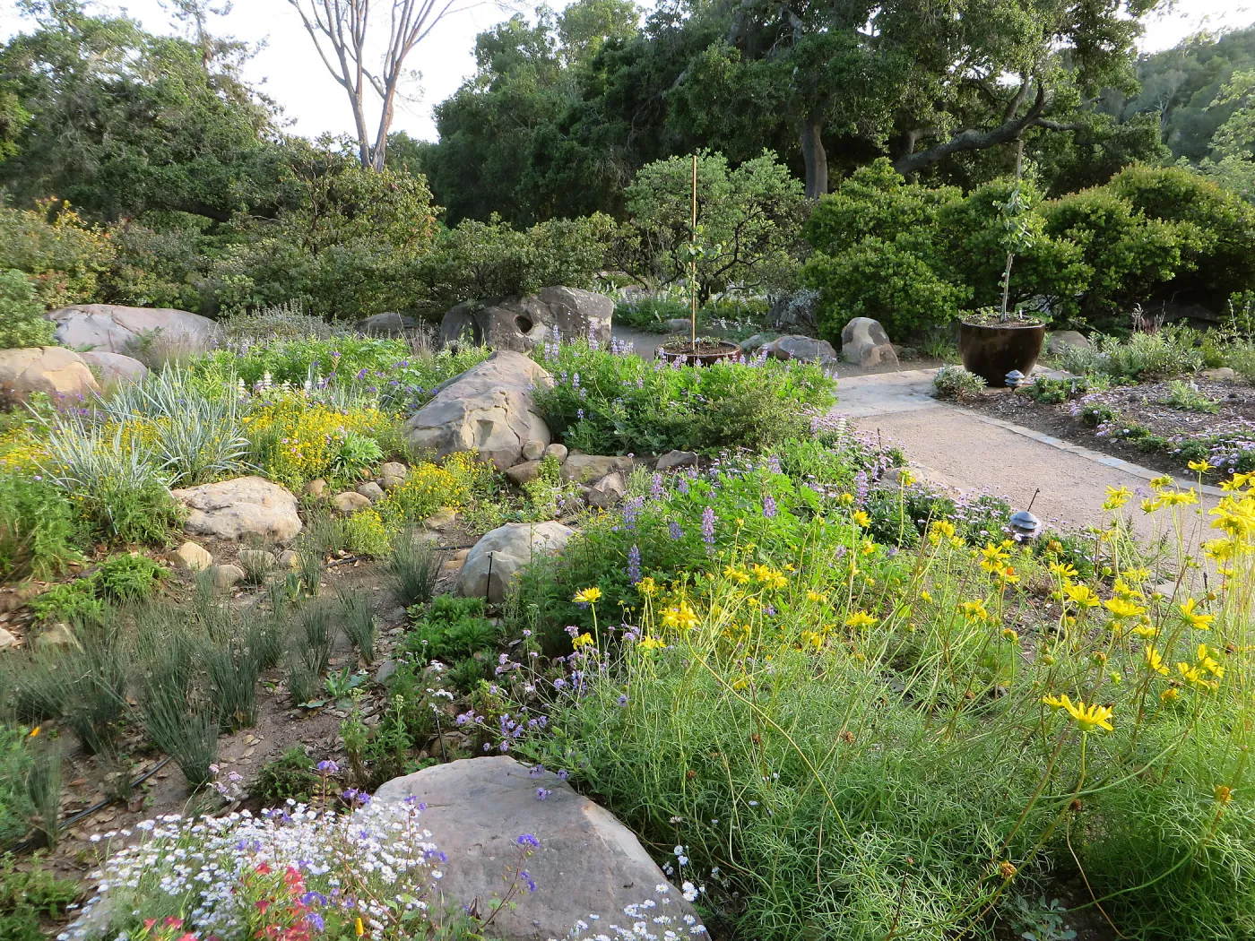 Water Wise Home Garden. Rain garden display